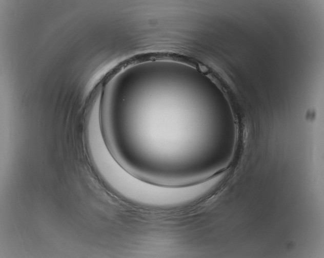 X0000113291069200909211058