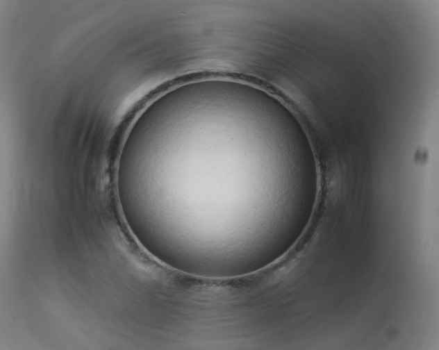 X0000113291070200909211058