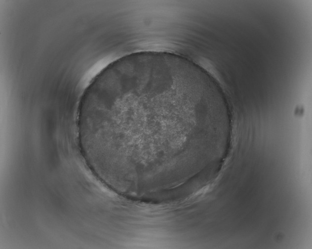 X0000113291071200909211058