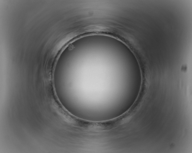 X0000113291073200909211058