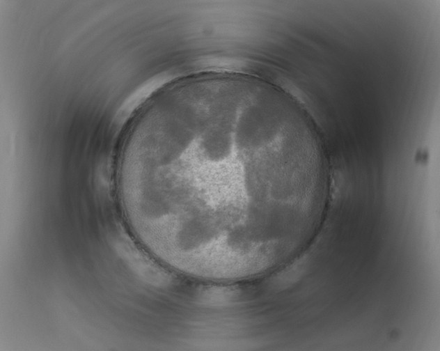 X0000113291074200909211058