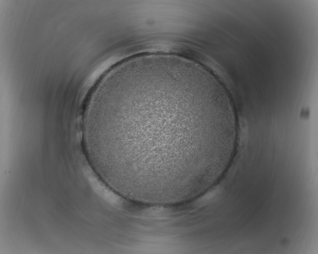 X0000113291075200909211058