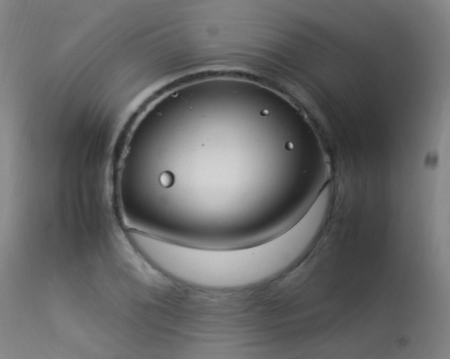 X0000113291076200909211058