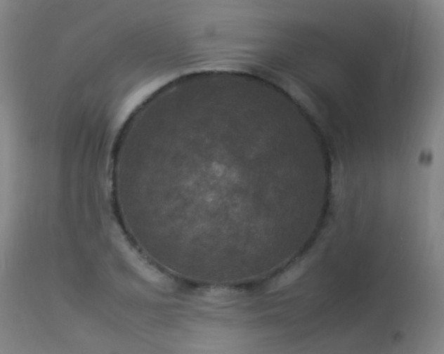 X0000113291077200909211058