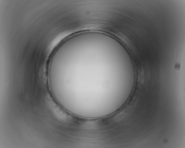 X0000113291078200909211058