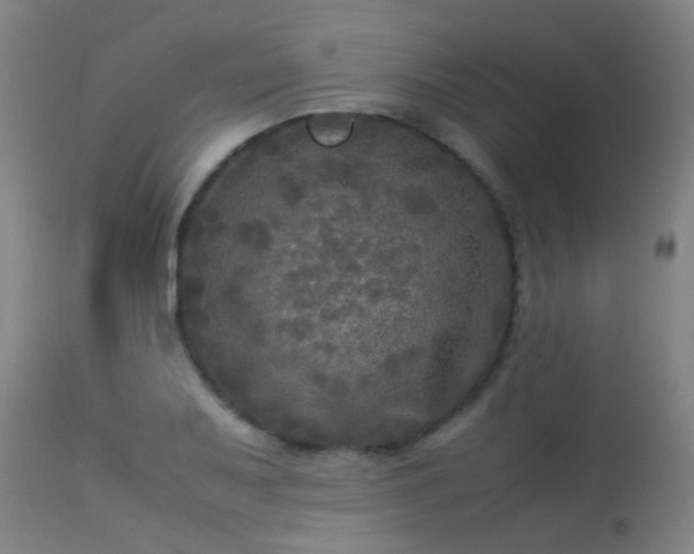 X0000113291079200909211058