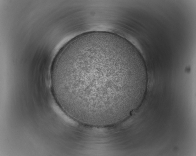 X0000113291080200909211058