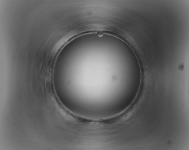 X0000113291081200909211058