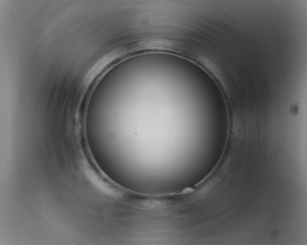 X0000113291082200909211058