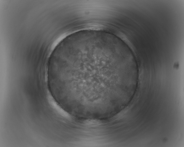 X0000113291083200909211058