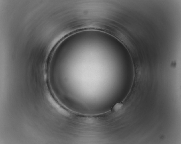 X0000113291084200909211058