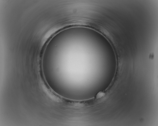 X0000113291085200909211058