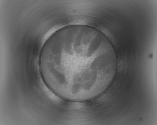 X0000113291086200909211058