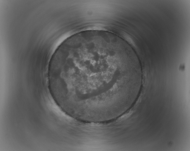 X0000113291087200909211058