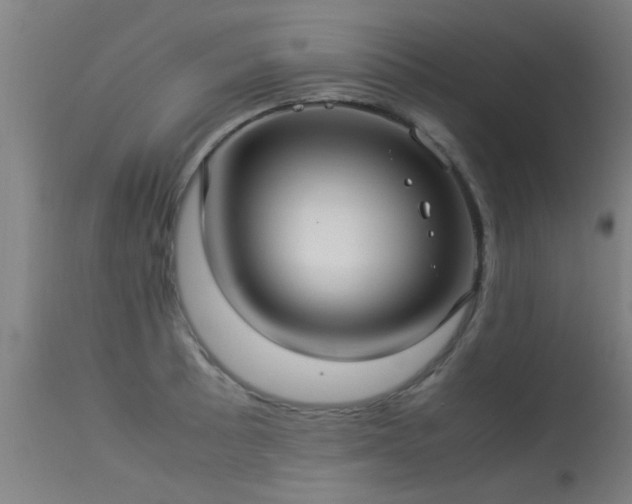 X0000113291089200909211058