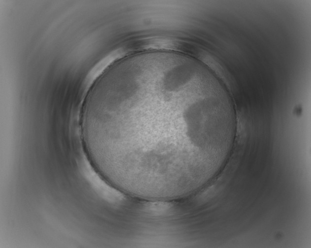 X0000113291090200909211058