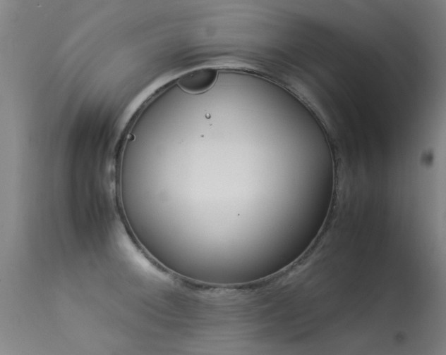 X0000113291092200909211058