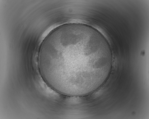 X0000113291094200909211058