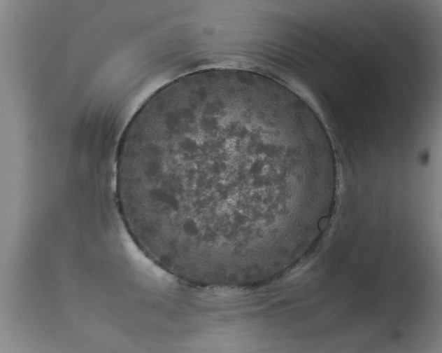 X0000113291095200909211058