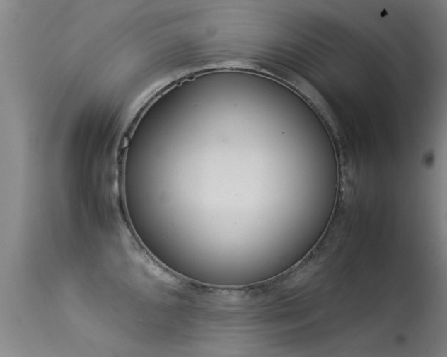 X0000113291096200909211058