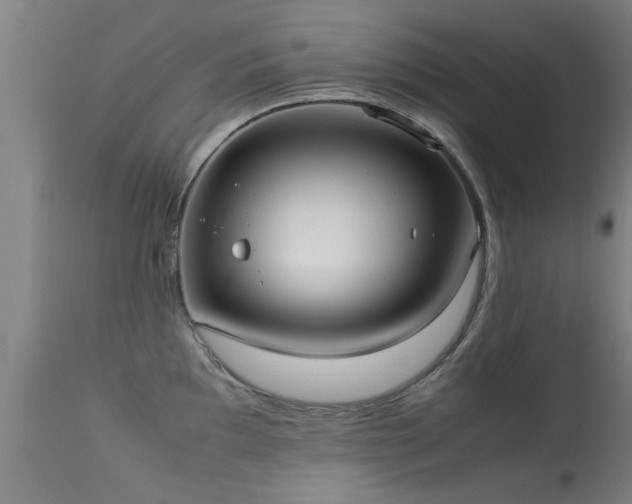 X0000113291097200909211058