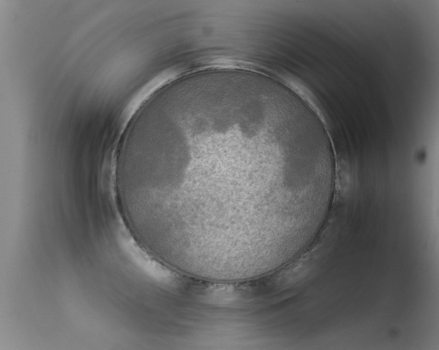 X0000113291098200909211058