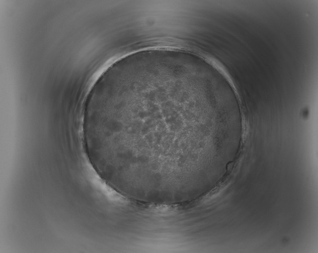 X0000113291099200909211058