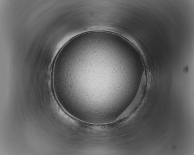 X0000113291102200909211058