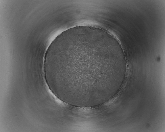 X0000113291103200909211058