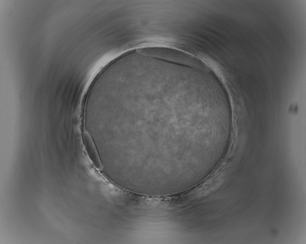 X0000113291104200909211058