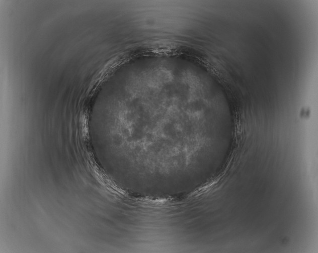 X0000113291106200909211057