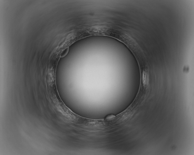 X0000113291107200909211057