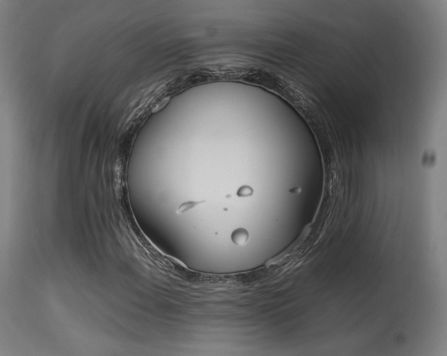 X0000113291108200909211057