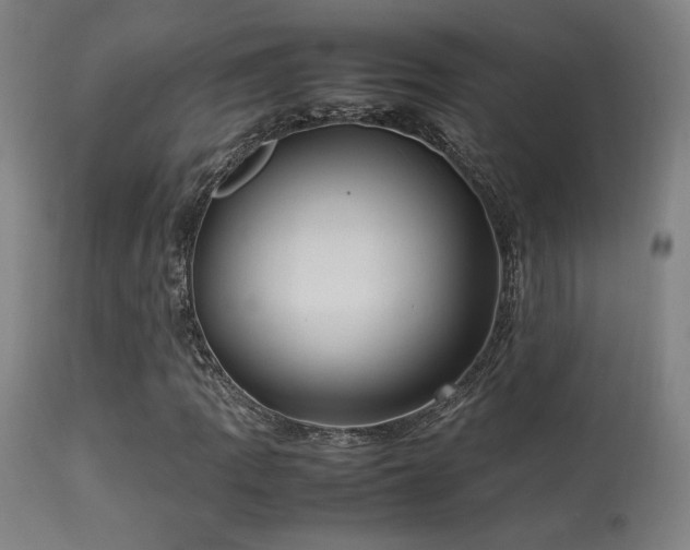 X0000113291109200909211057