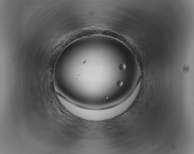 X0000113291110200909211057