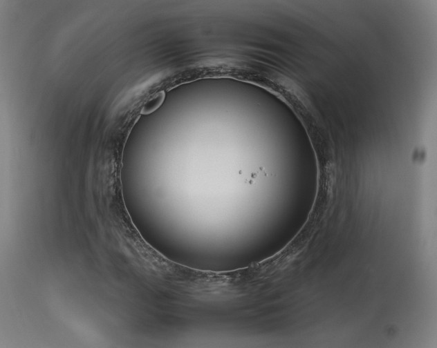 X0000113291111200909211057