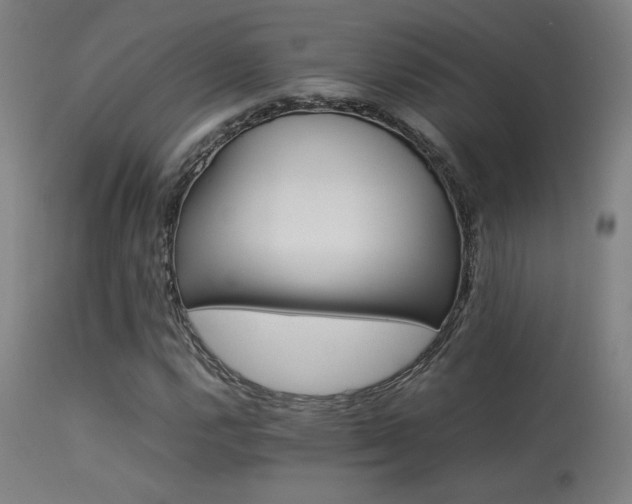 X0000113291112200909211057