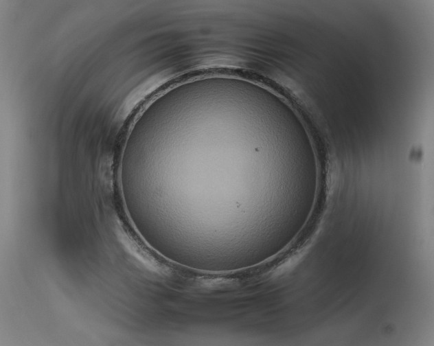 X0000113291113200909211057