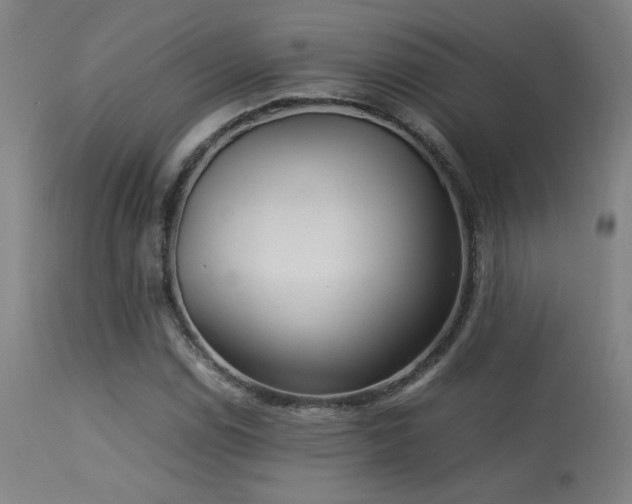 X0000113291114200909211057