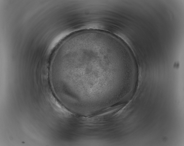 X0000113291115200909211057