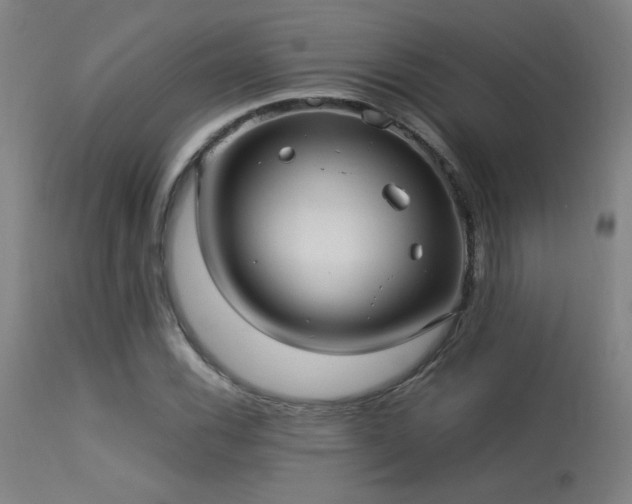 X0000113291116200909211057