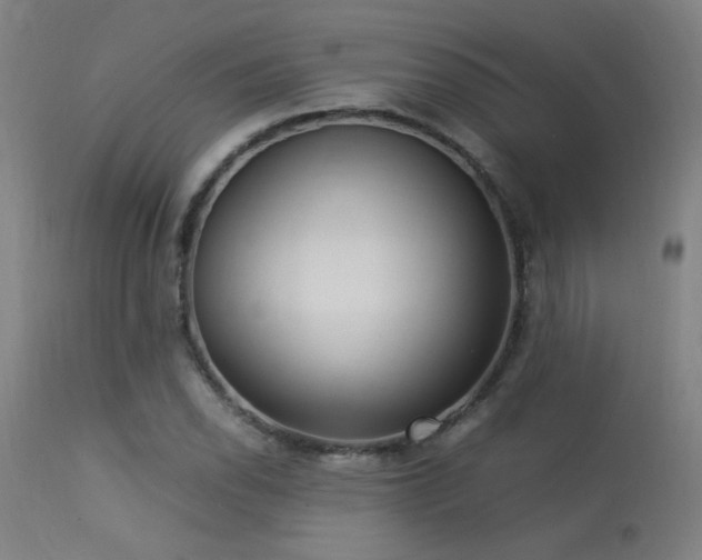 X0000113291118200909211057