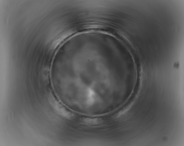 X0000113291121200909211057