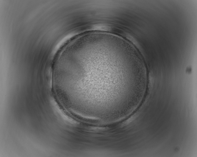 X0000113291123200909211057