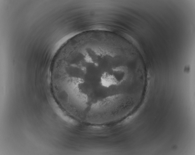 X0000113291125200909211057