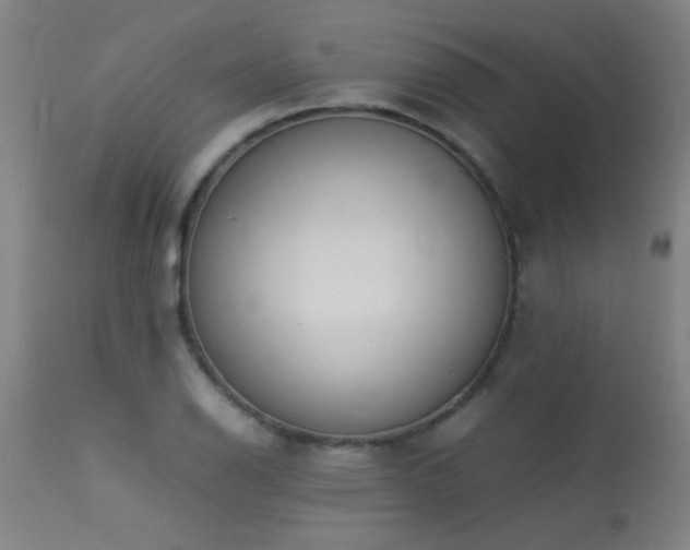 X0000113291126200909211057