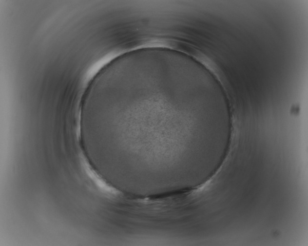 X0000113291127200909211057