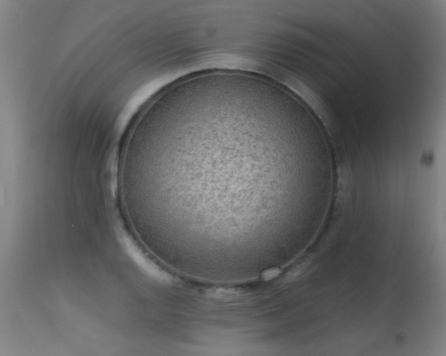 X0000113291128200909211057