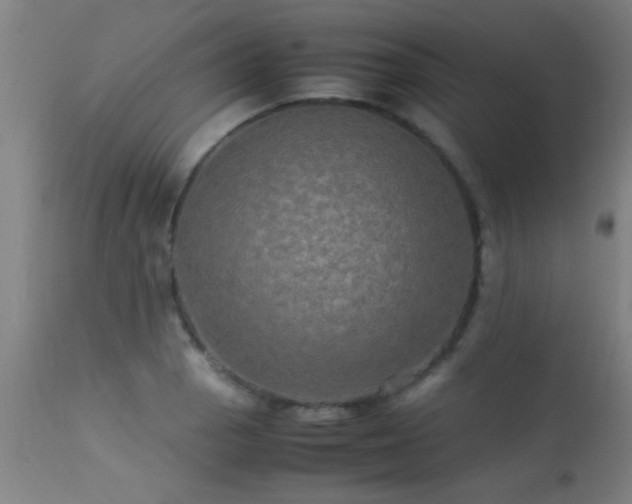 X0000113291129200909211057