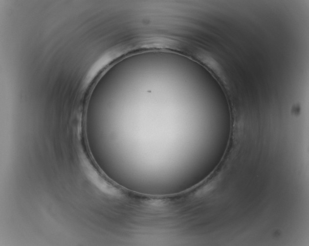 X0000113291130200909211057